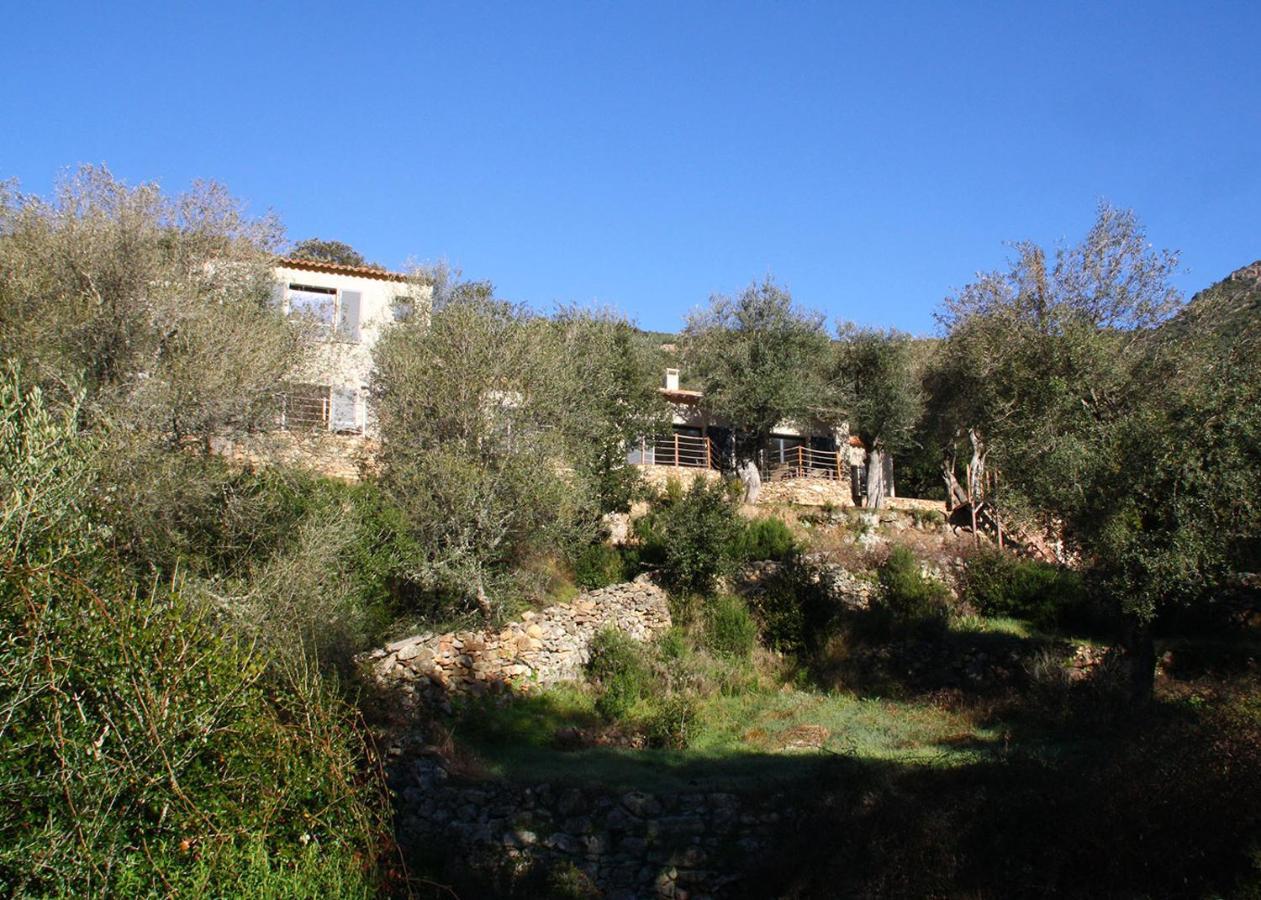 L'Oliveraie Du Fango Manso Exterior foto